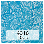 4316 Daisy