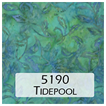 5190 tidepool