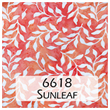 6535 Bay