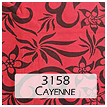 3158 Cayeene