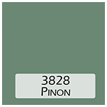 3828 pinon